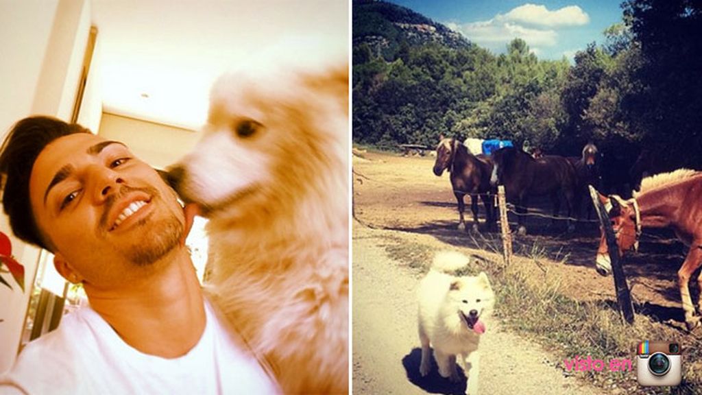 Aunque su ojito derecho es su perro, un peludo Samoyedo
