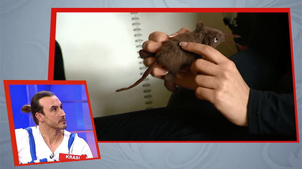 Risas, miradas y acercamiento