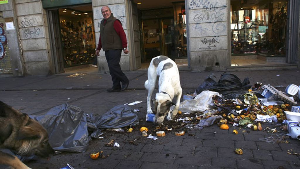 Madrid, inundada por la basura