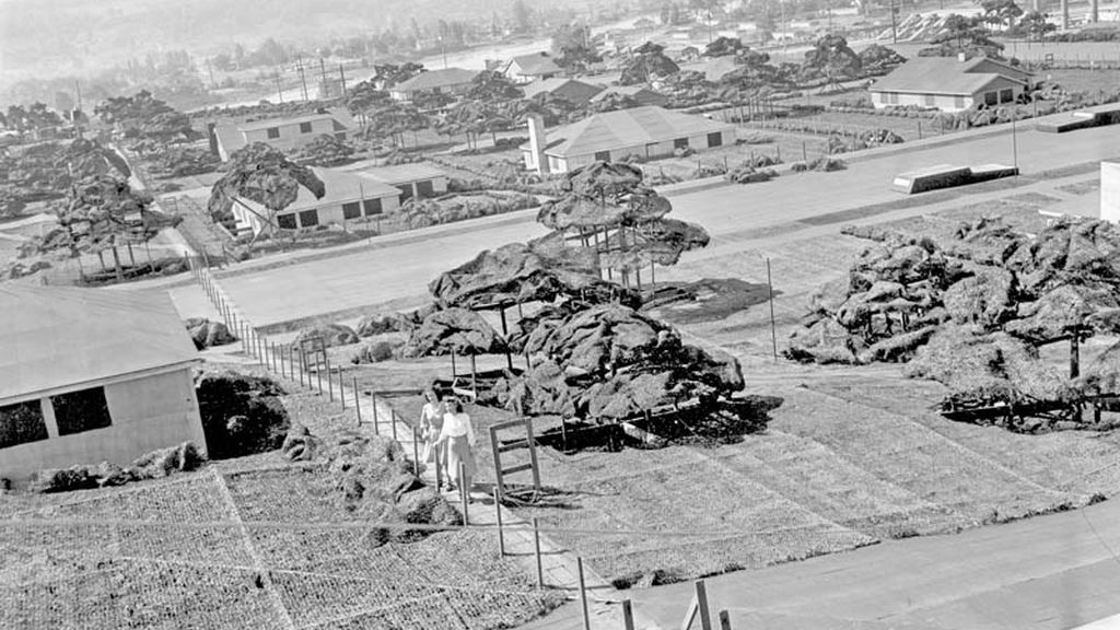 Camuflaje para evitar un ataque nuclear en la II Guerra Mundial