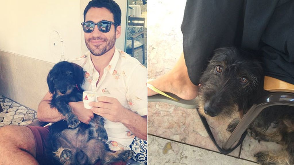 Tras tantas fotos, Pistacho ya ha aprendido a posar