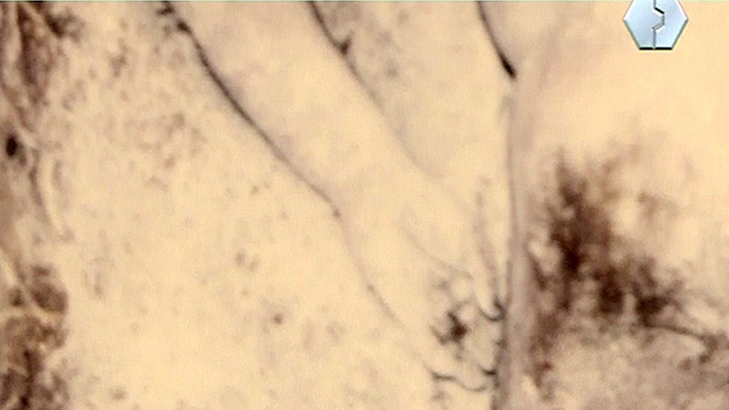 Enterrado en cal viva