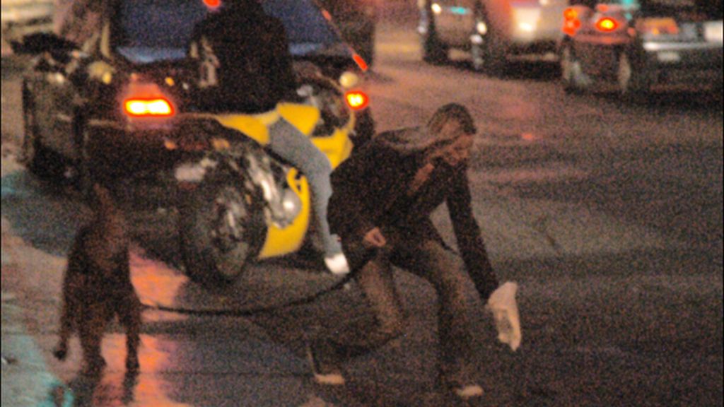 ¡Las celebrities sí que recogen las cacas de sus perros!