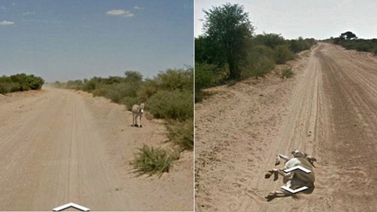 burro google street view