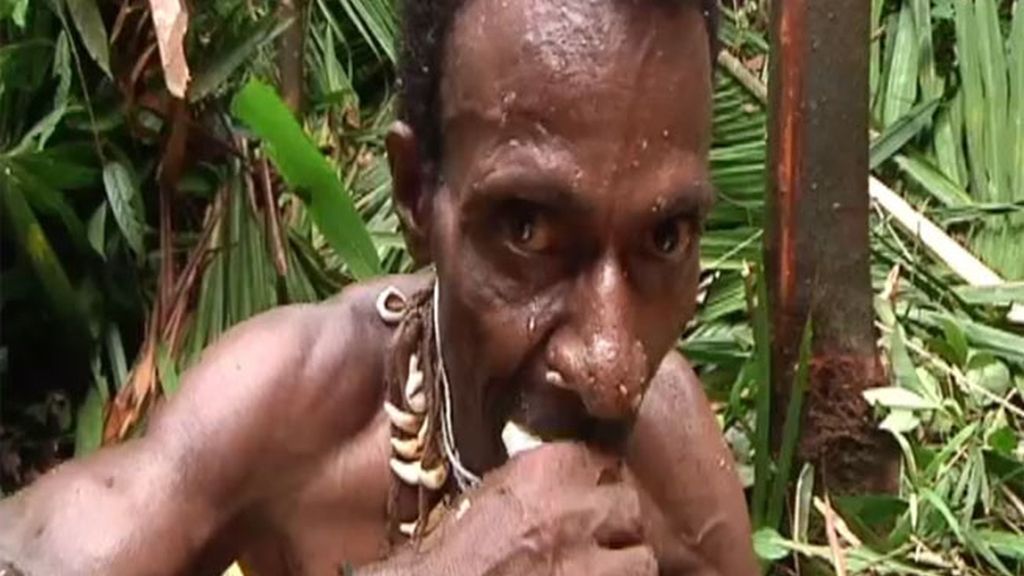 La tribu Dani y korowai en imágenes