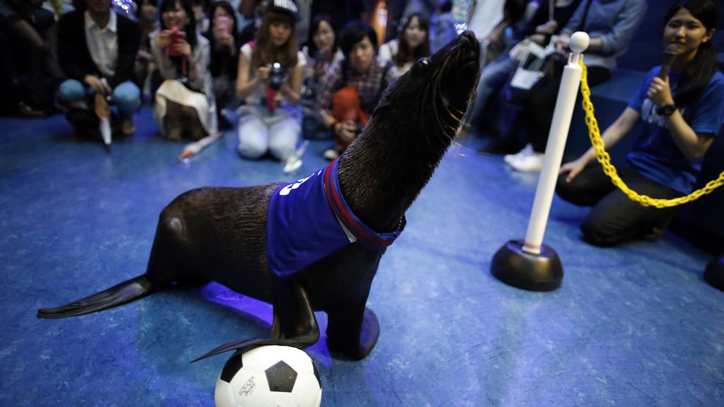 Los animales del Mundial: El Panda Ying, el pingüino Aochan...