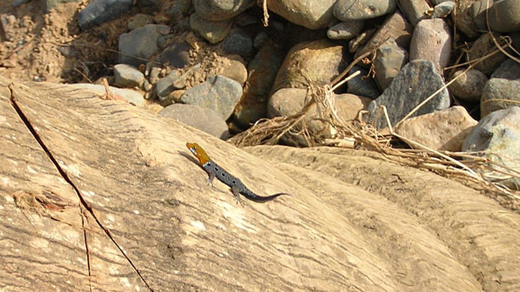 Primer ganador del viaje a Panamá: Manuel Carracedo López