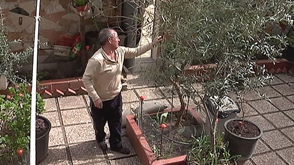 Algunos mostoleños también disfrutan de maravillosos jardines