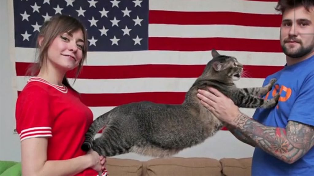 Pickles, el gato de nuevo kilos