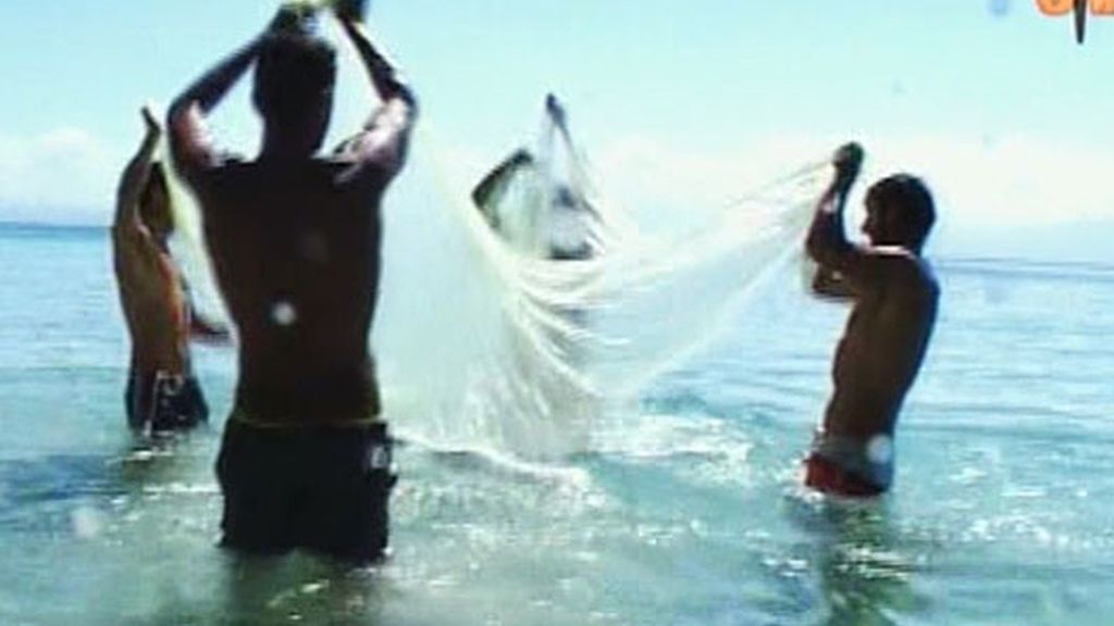 'Supervivientes 2008'