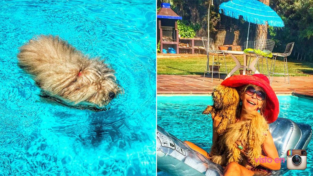 "El verano con mi 'pet': así han disfrutado los vips junto a sus mascotas