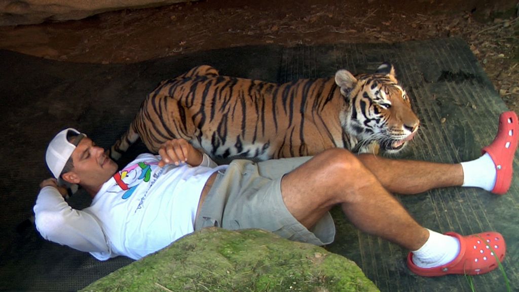 La selva en casa, de la mano de Frank Cuesta