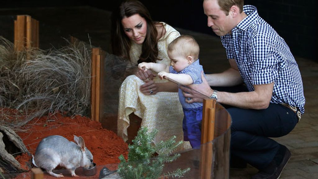 El príncipe George disfruta en el zoo de Sídney