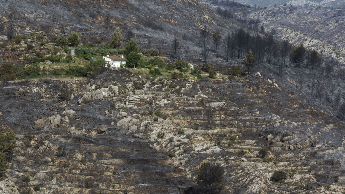 Controlado el incendio forestal de Segorbe tras calcinar casi 40 hectáreas