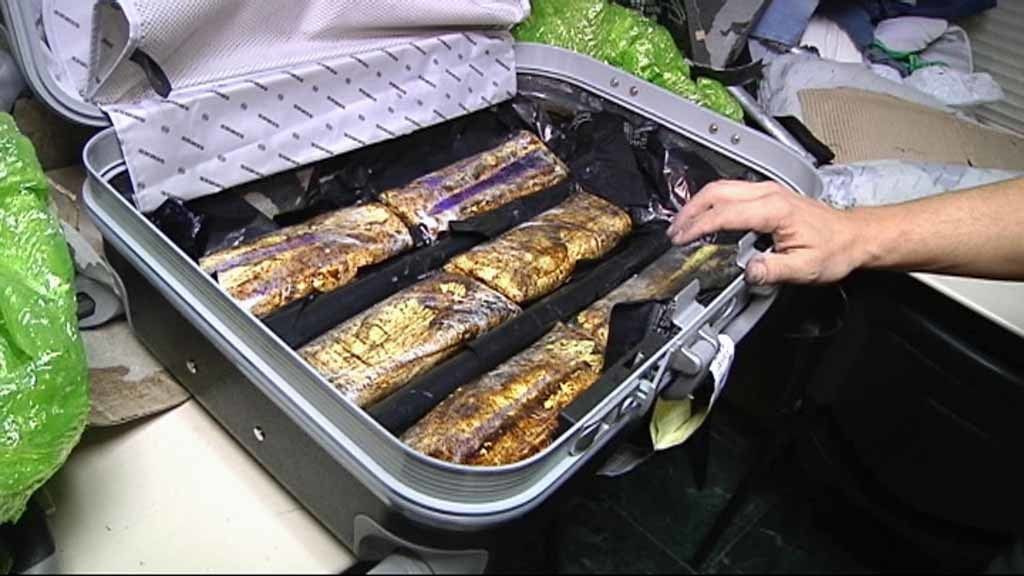 Callejeros se cuela en terminales aeroportuarias