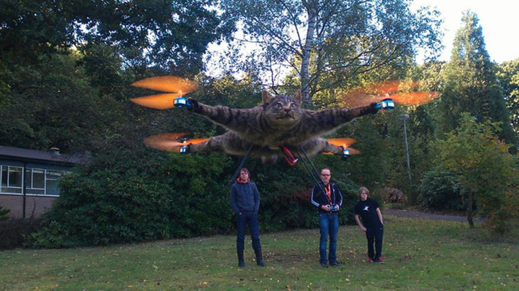 La 'animalista' afición que une la taxidermia y la pasión por los drones