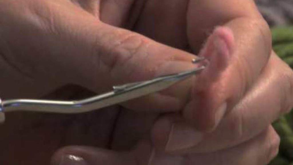 Tercera lección de Tricotosas: un tapiz de nudos