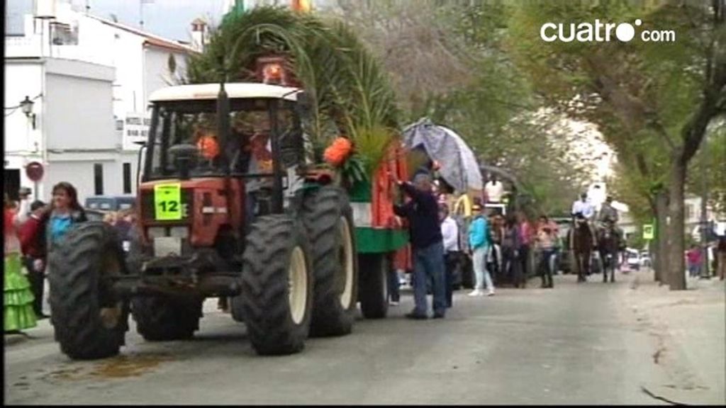 La Romería de la Virgen de los Remedios (Cádiz)