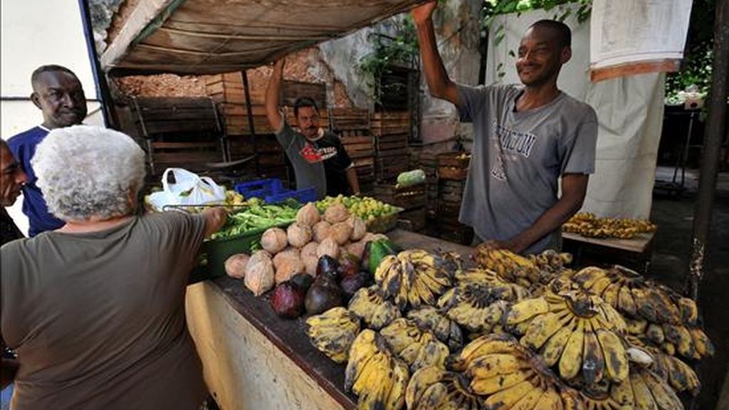 Varias personas compran vegetales en un pequeño puesto privado. El diario oficial Granma publica que los cubanos podrán ejercer el trabajo por cuenta propia en 178 actividades y en 83 de ellas se podrán contratar empleados. EFE Varias personas compran vegetales en un pequeño puesto privado. El diario oficial Granma publica que los cubanos podrán ejercer el trabajo por cuenta propia en 178 actividades y en 83 de ellas se podrán contratar empleados. EFE