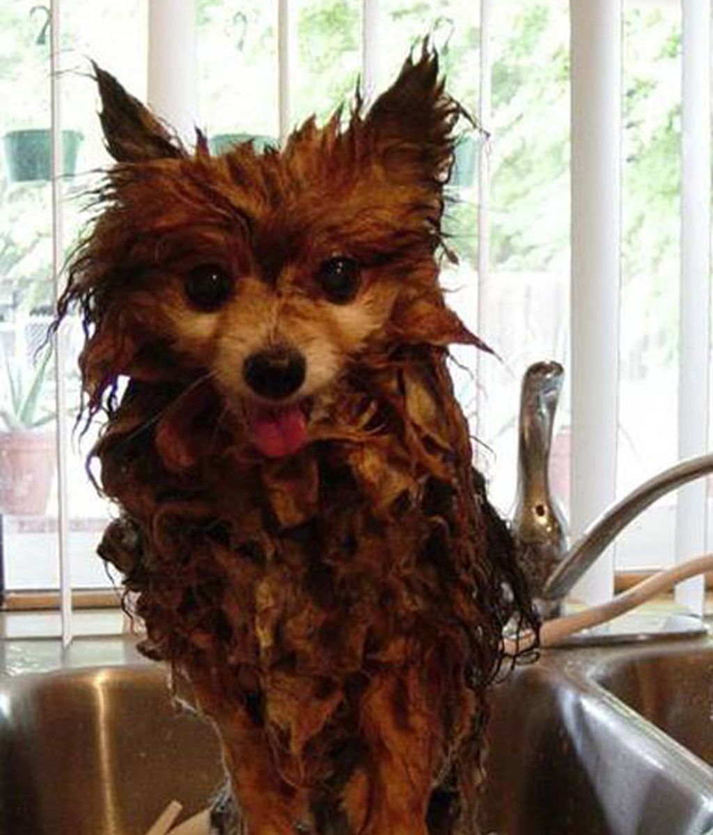 ¡Odio bañarme!