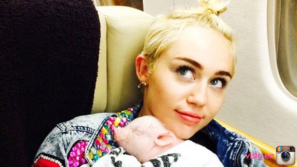 miley cyrus