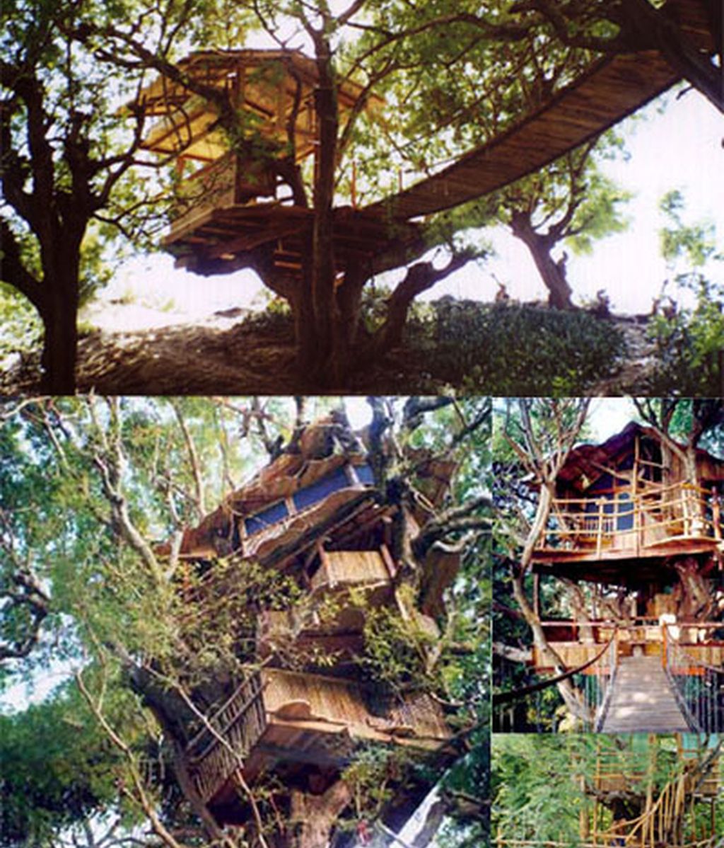 Nanshan Treehouses, un exótico resort al sur de China