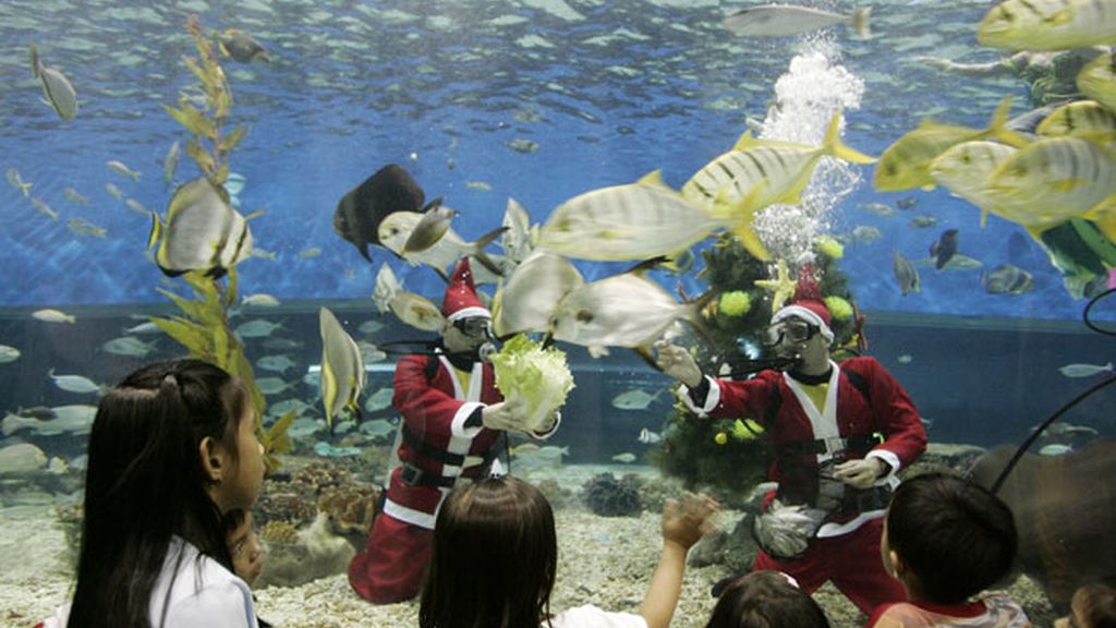 La Navidad acuática