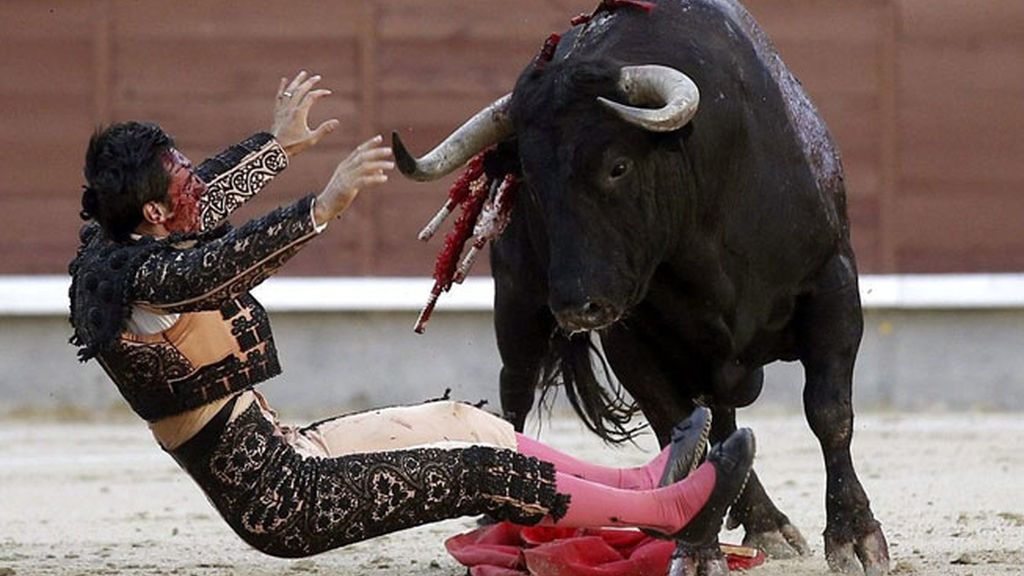El torero Fernando Cruz, herido grave en Las Ventas