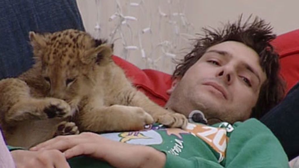 Más animaladas en Gran Hermano