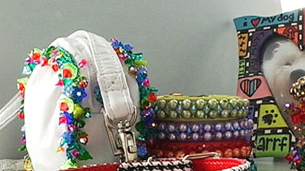 Collares para perros