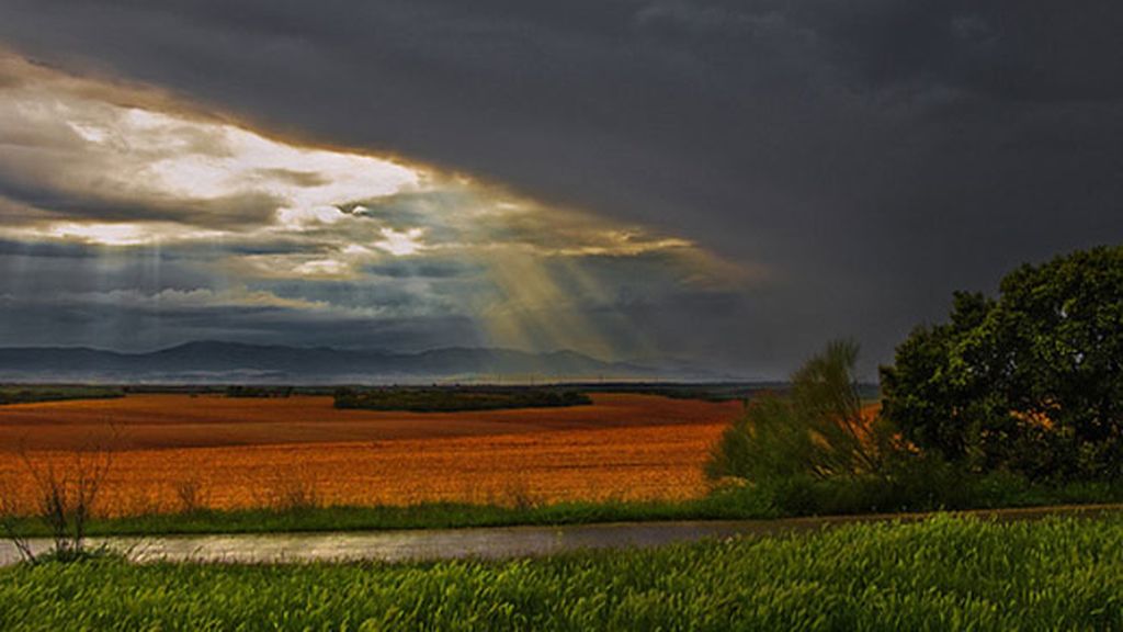 Artigazo- Cariñena (Zaragoza)