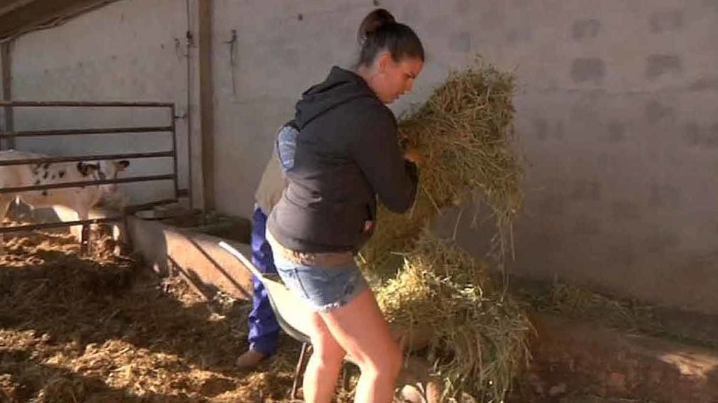 Las chicas se adaptan a las granjas