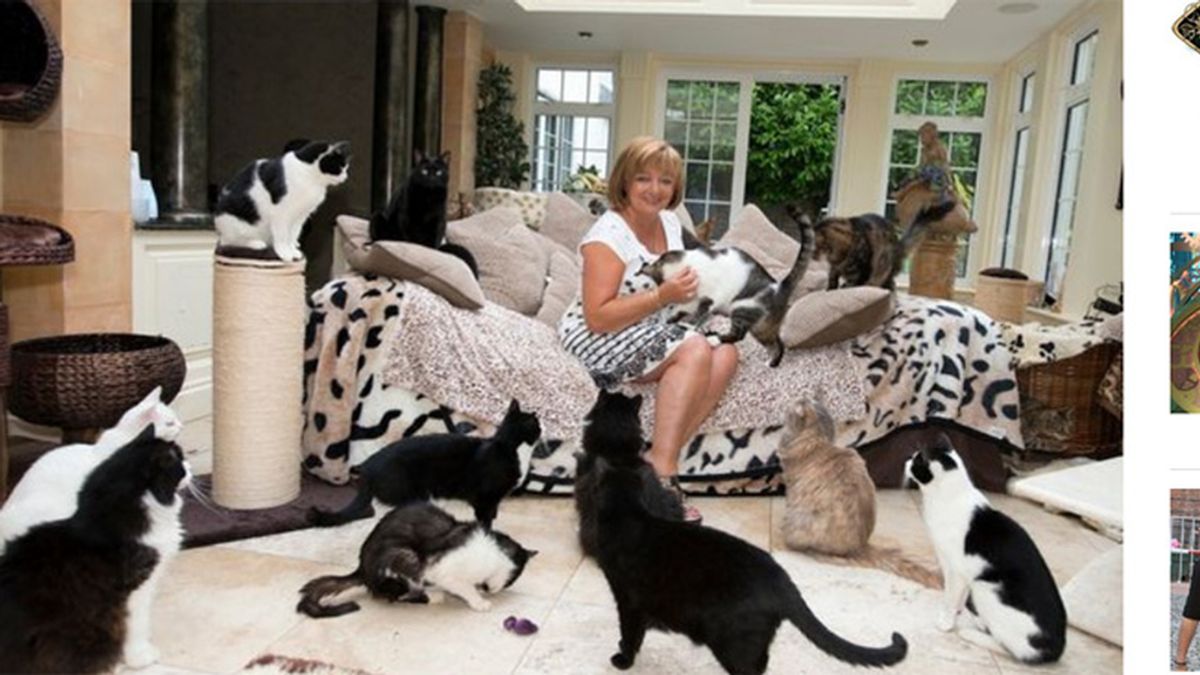 ‘La mujer de los gatos’, convive con 122 felinos