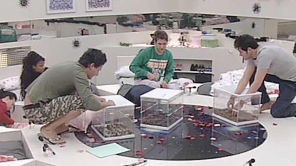 Más animaladas en Gran Hermano