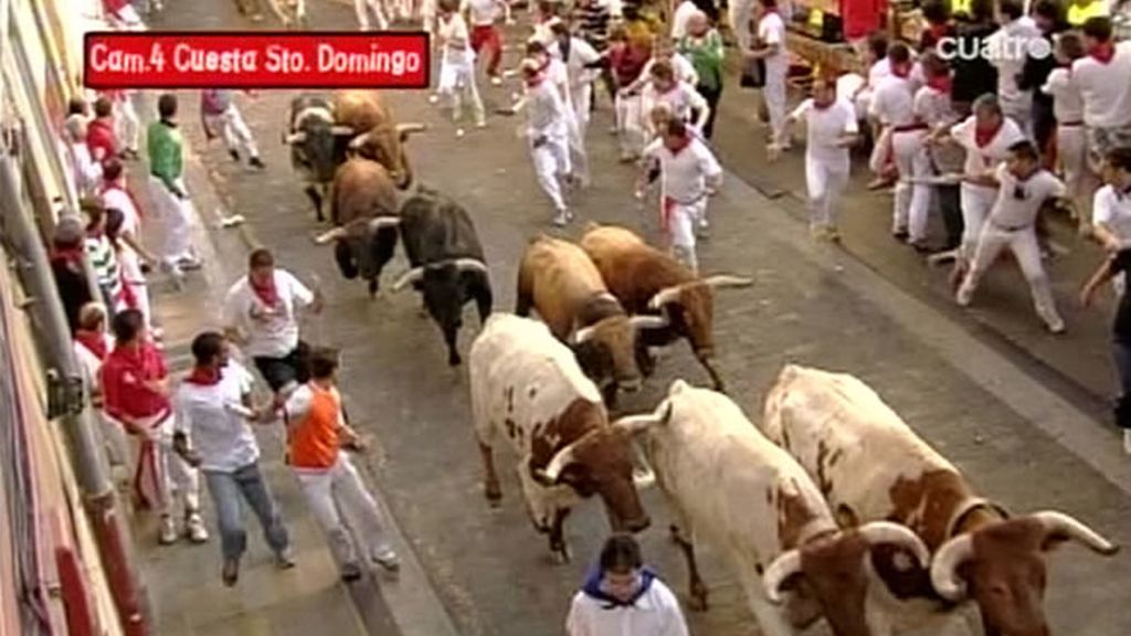 La manada agrupada en Santo Domingo