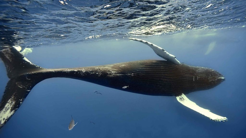 Increíbles fotos tomadas  en el Banco de la Plata en República Dominicana