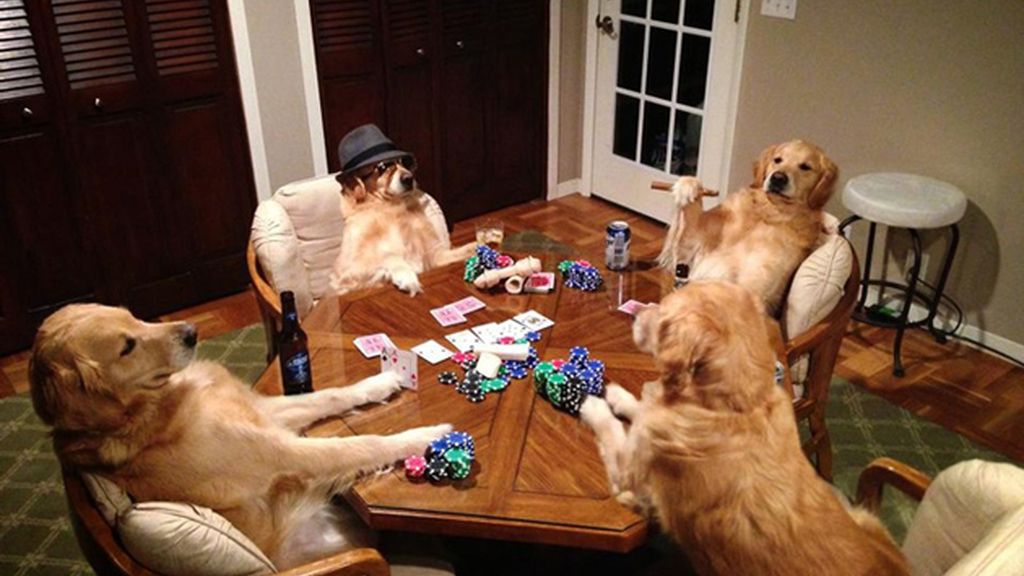 Diviértete con los atuendos más humanos de este perro