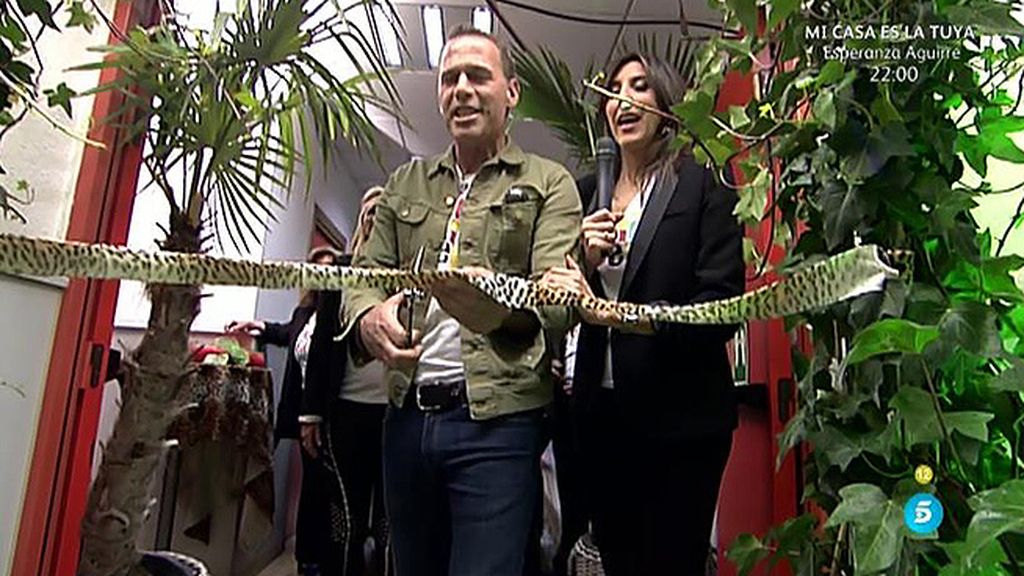 Los colaboradores de 'Sálvame' llegan a Telecinco en un bus de dos plantas