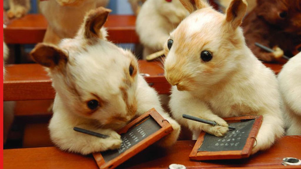 Animales reales en escenas ficticias