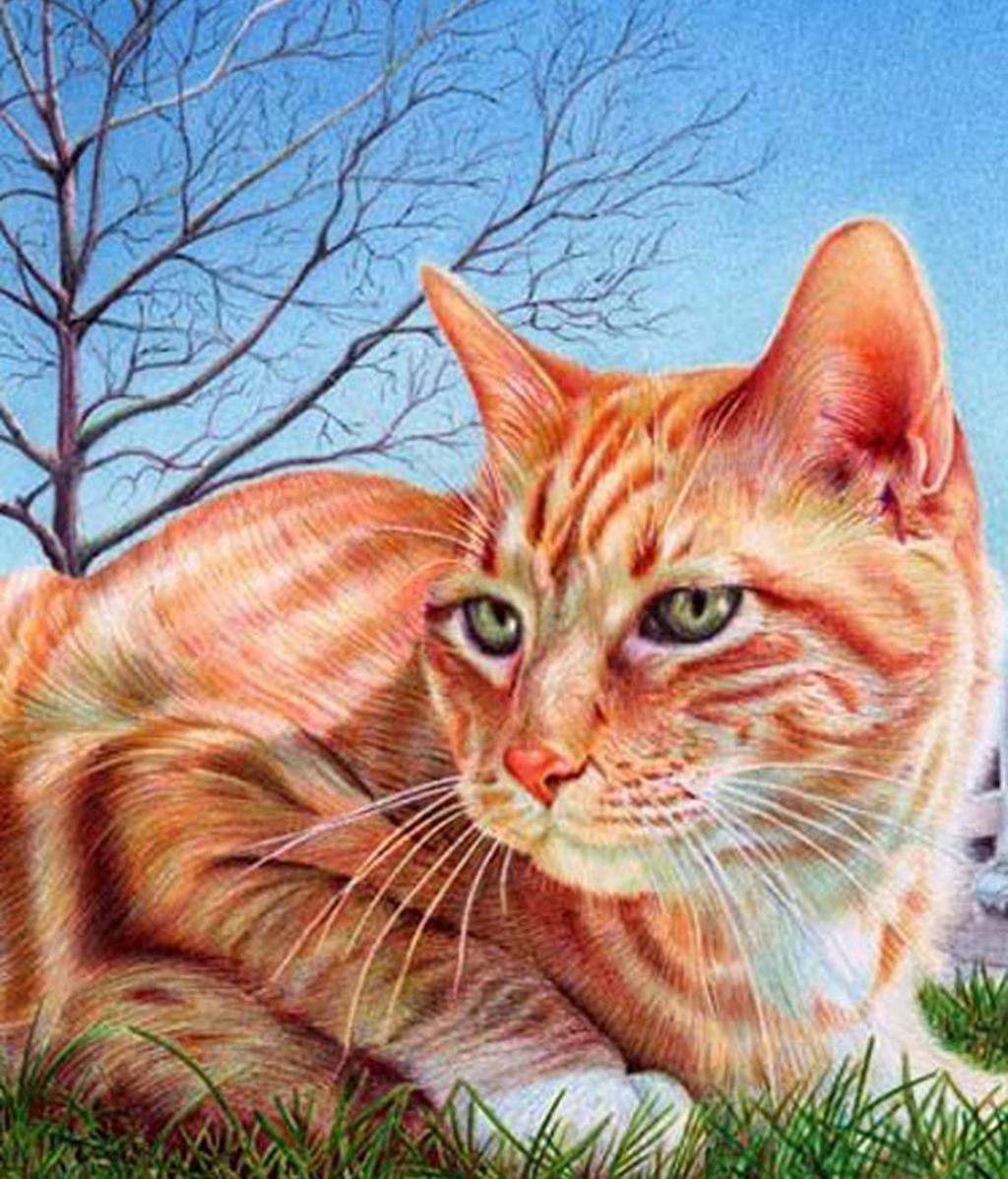 Hiperrealismo a bolígrafo: Dibujos que son casi idénticos a las fotografías originales