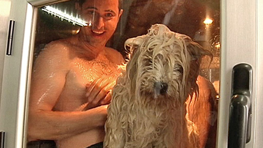 Lavado de perros automático