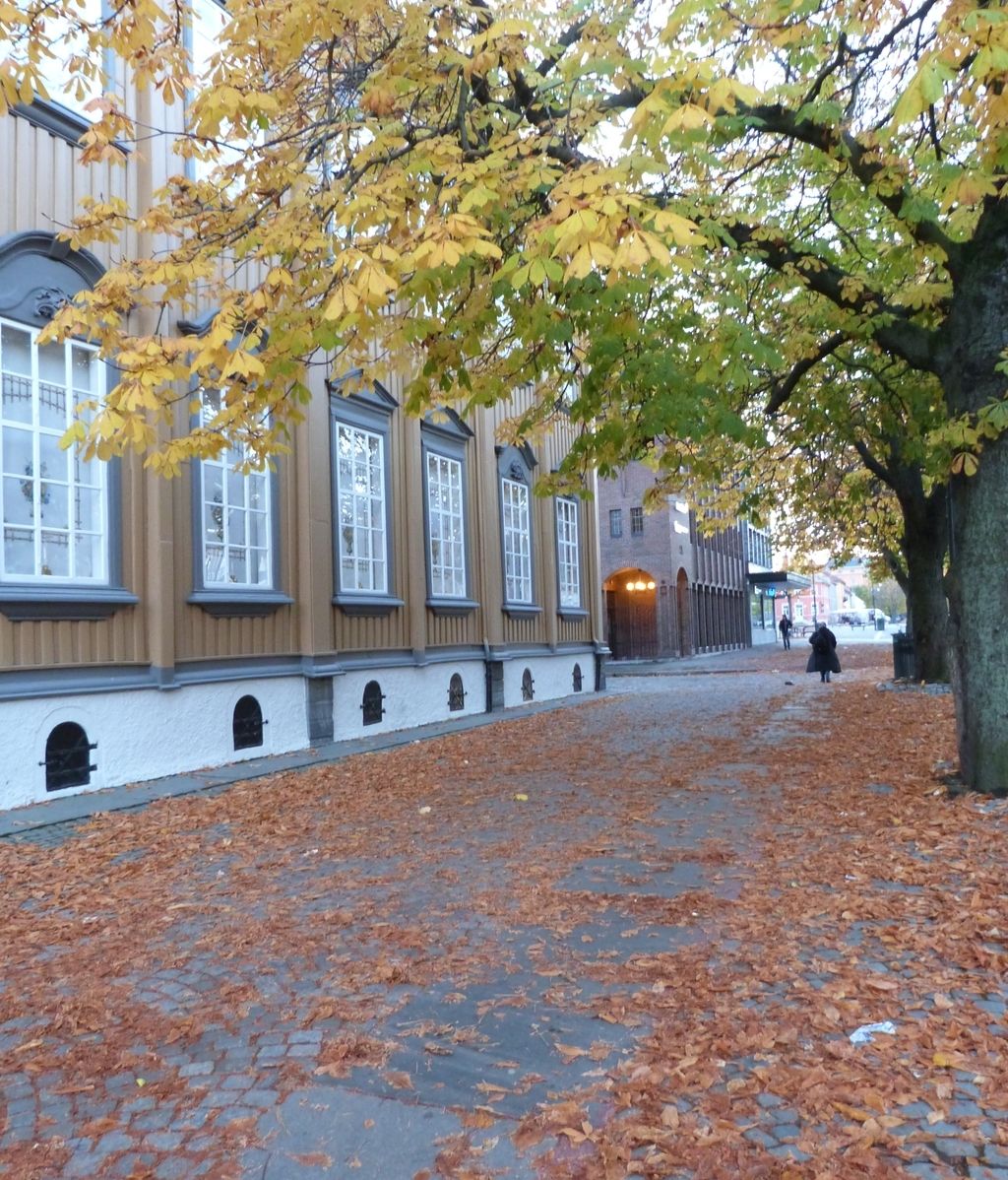 calle noruega