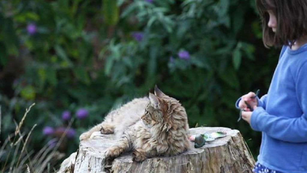 La pequeña tiene autismo y vive en Reino Unido