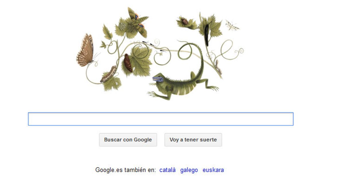 El Doodle de Google en homenaje a Anna Maria Sibylla Merian