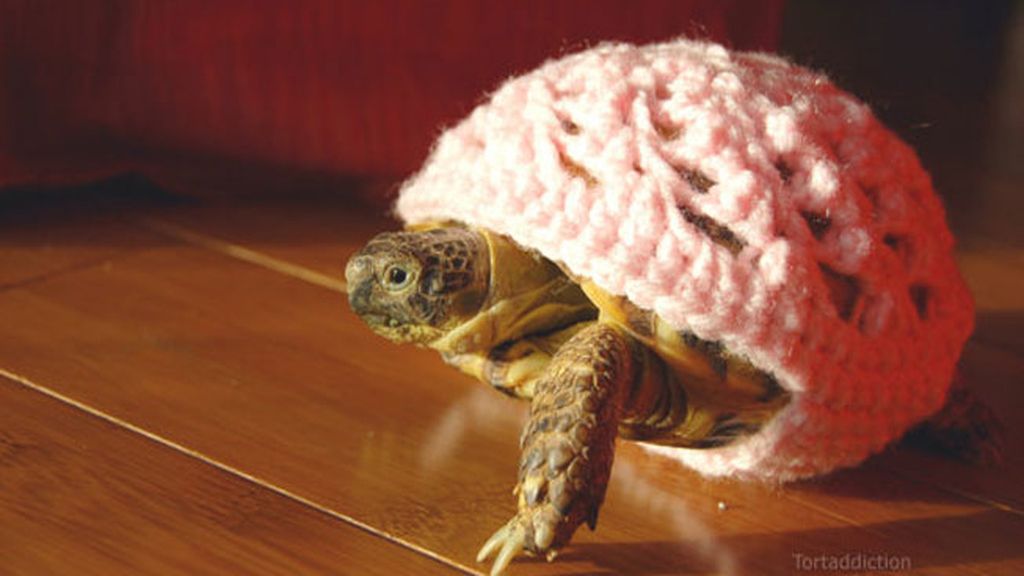 Las tortugas y sus trajes de ganchillo
