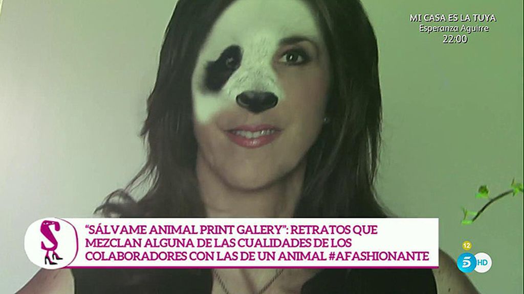 Leones, tigres, pumas, leopardos... La otra cara de los colaboradores