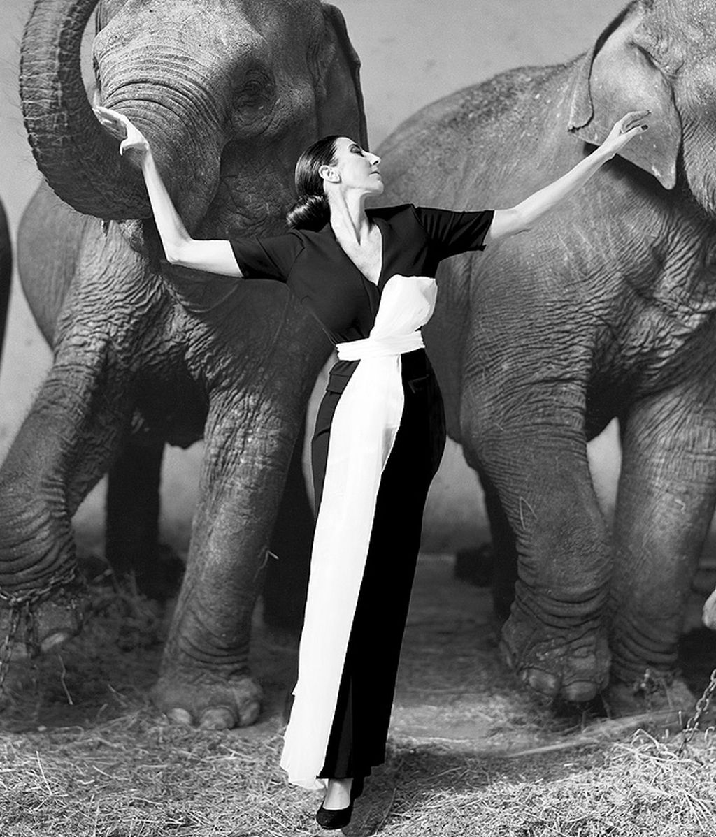 Paz Padilla, como Dovima