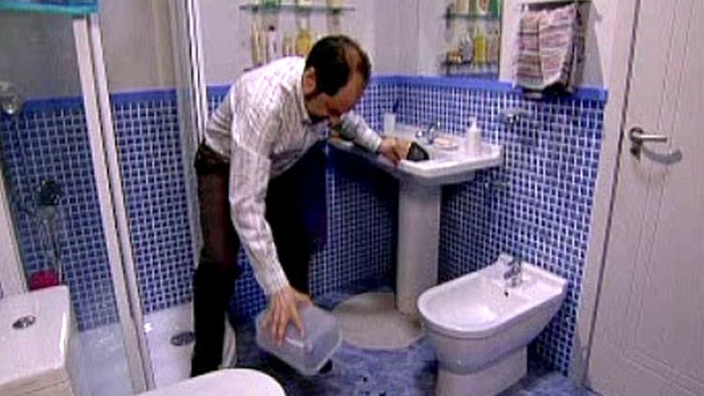 Una apuesta, quinientas cucarachas y una asistenta