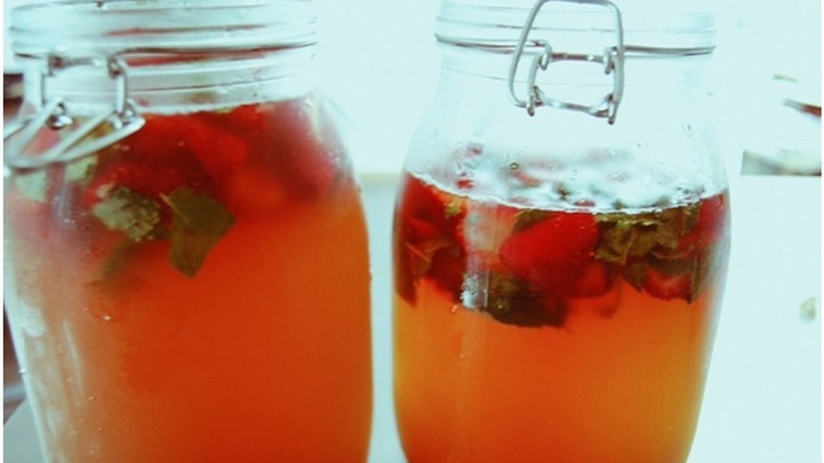 Kombucha, El Elixir de la Inmortalidad