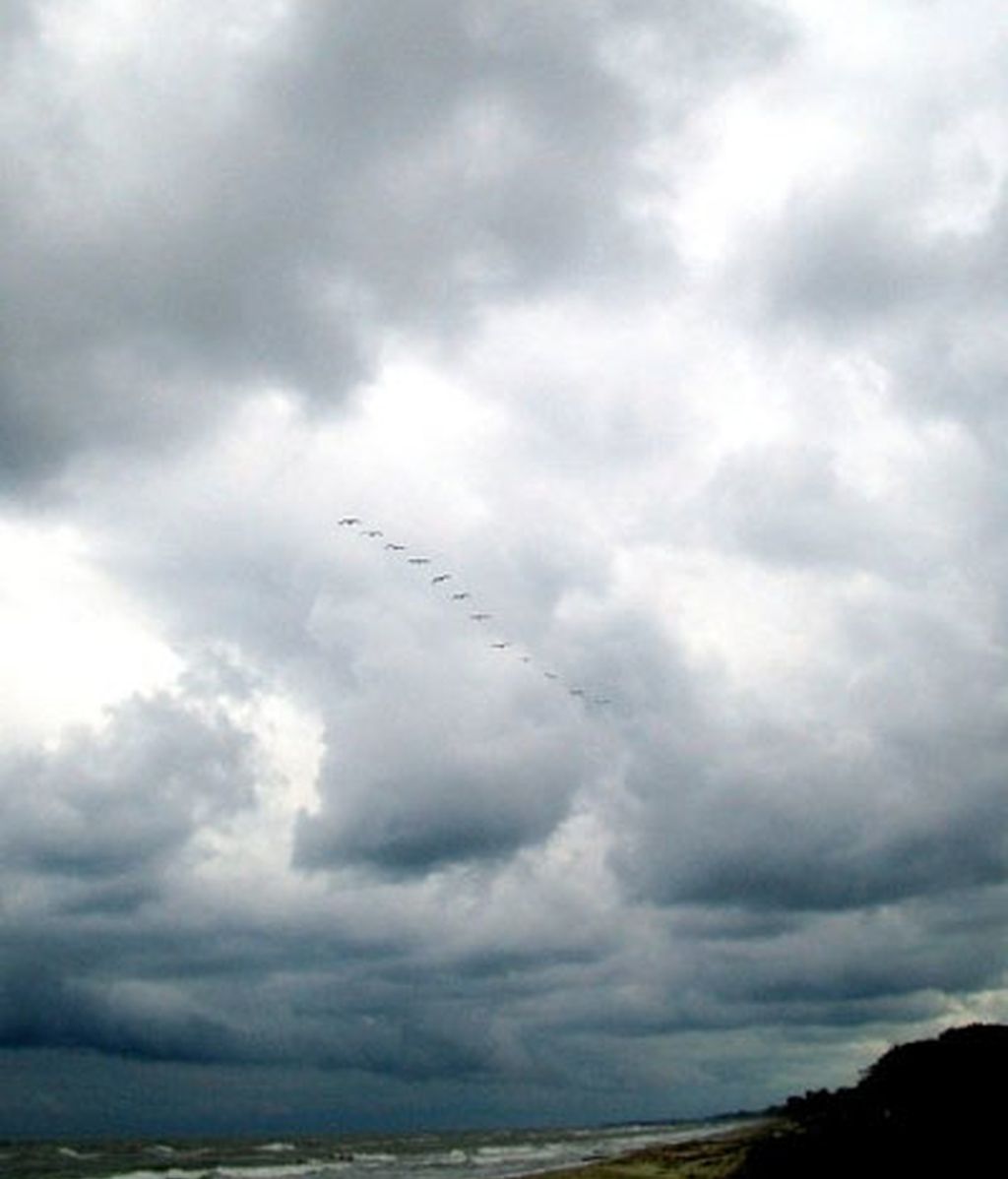 Honduras, por Mario Picazo